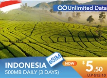 INDONESIA 3 DAYS E-SIM UNLIMITED DATA 500MB HIGH SPEED DAILY