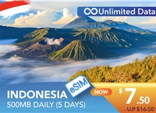 INDONESIA 5 DAYS E-SIM UNLIMITED DATA 500MB HIGH SPEED DAILY