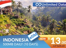 INDONESIA 10 DAYS E-SIM UNLIMITED DATA 500MB HIGH SPEED DAILY