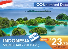 INDONESIA 20 DAYS E-SIM UNLIMITED DATA 500MB HIGH SPEED DAILY