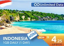 INDONESIA 1 DAY E-SIM UNLIMITED DATA 1GB HIGH SPEED DAILY