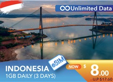 INDONESIA 3 DAYS E-SIM UNLIMITED DATA 1GB HIGH SPEED DAILY