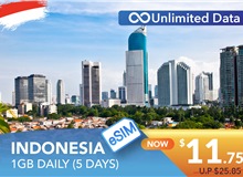 INDONESIA 5 DAYS E-SIM UNLIMITED DATA 1GB HIGH SPEED DAILY