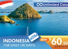 INDONESIA 30 DAYS E-SIM UNLIMITED DATA 1GB HIGH SPEED DAILY