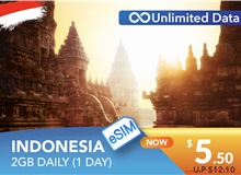 INDONESIA 1 DAY E-SIM UNLIMITED DATA 2GB HIGH SPEED DAILY