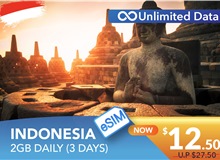 INDONESIA 3 DAYS E-SIM UNLIMITED DATA 2GB HIGH SPEED DAILY