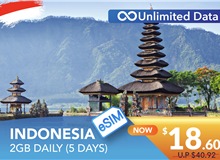 INDONESIA 5 DAYS E-SIM UNLIMITED DATA 2GB HIGH SPEED DAILY