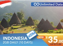 INDONESIA 10 DAYS E-SIM UNLIMITED DATA 2GB HIGH SPEED DAILY