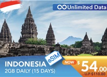 INDONESIA 15 DAYS E-SIM UNLIMITED DATA 2GB HIGH SPEED DAILY