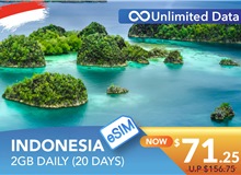 INDONESIA 20 DAYS E-SIM UNLIMITED DATA 2GB HIGH SPEED DAILY