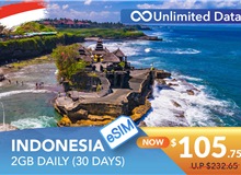 INDONESIA 30 DAYS E-SIM UNLIMITED DATA 2GB HIGH SPEED DAILY