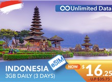 INDONESIA 3 DAYS E-SIM UNLIMITED DATA 3GB HIGH SPEED DAILY