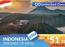 INDONESIA 10 DAYS E-SIM UNLIMITED DATA 3GB HIGH SPEED DAILY