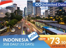 INDONESIA 15 DAYS E-SIM UNLIMITED DATA 3GB HIGH SPEED DAILY