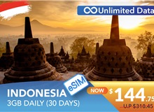 INDONESIA 30 DAYS E-SIM UNLIMITED DATA 3GB HIGH SPEED DAILY