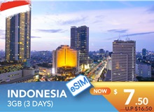 INDONESIA 3 DAYS E-SIM 3GB HIGH SPEED