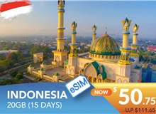 INDONESIA 15 DAYS E-SIM 20GB HIGH SPEED