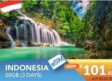 INDONESIA 3 DAYS E-SIM 50GB HIGH SPEED