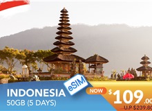 INDONESIA 5 DAYS E-SIM 50GB HIGH SPEED