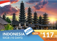 INDONESIA 10 DAYS E-SIM 50GB HIGH SPEED