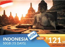 INDONESIA 15 DAYS E-SIM 50GB HIGH SPEED