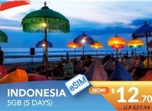 INDONESIA 5 DAYS E-SIM 5GB HIGH SPEED