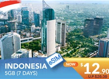 INDONESIA 7 DAYS E-SIM 5GB HIGH SPEED