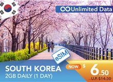 SOUTH KOREA 1 DAY E-SIM UNLIMITED DATA 2GB HIGH SPEED DAILY