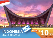 INDONESIA 30 DAYS E-SIM 3GB HIGH SPEED