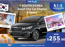 South Korea (Seoul City) Private Car Charter 8 Hours, Group Of 1-5