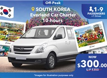 South Korea (Everland) Private Car Charter 10 Hours, Group Of 1-9